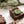 Close-up of Christmas Extra Fudgy Brownie with piped green wreath icing and red bow